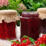Confiture de groseilles